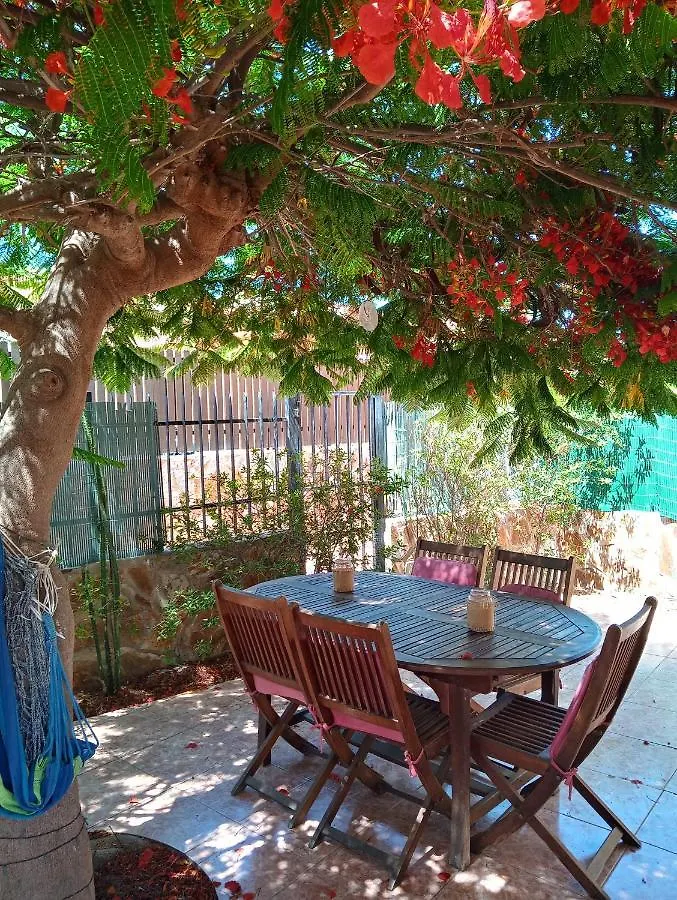 Bungalow Con Flamboyan En Maspalomas Villa Playa del Inglés