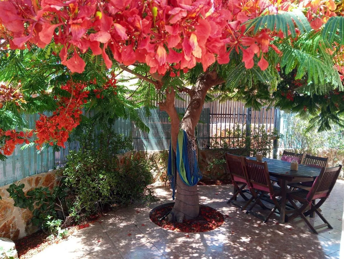 Holiday home Bungalow Con Flamboyan En Maspalomas Villa Playa del Ingles